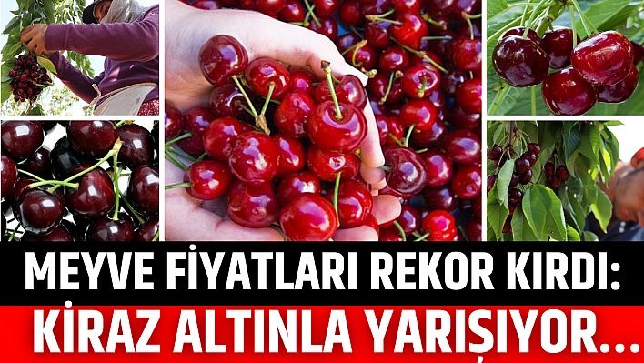 Meyve Fiyatları Rekor Kırdı: Kiraz Altınla Yarışıyor…
