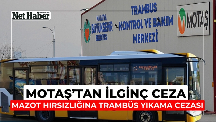 MOTAŞ'tan hırsızlığa ilginç ceza 