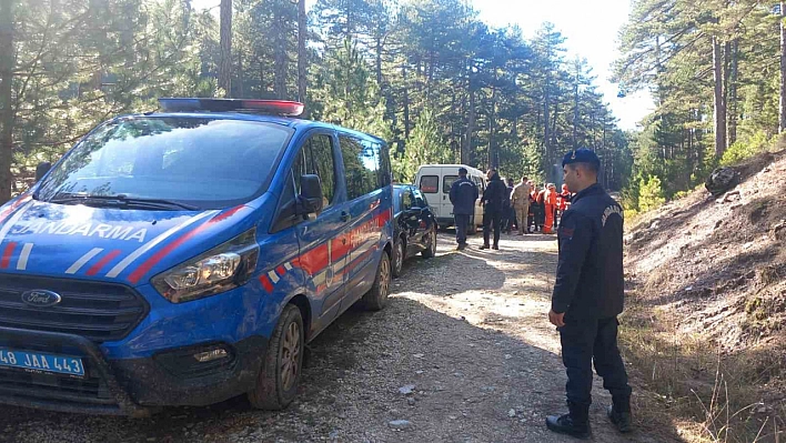 Mantar toplarken kaybolan yaşlı kadın her yerde aranıyor