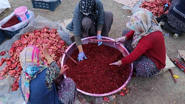 Ek gelir kapısı oldu