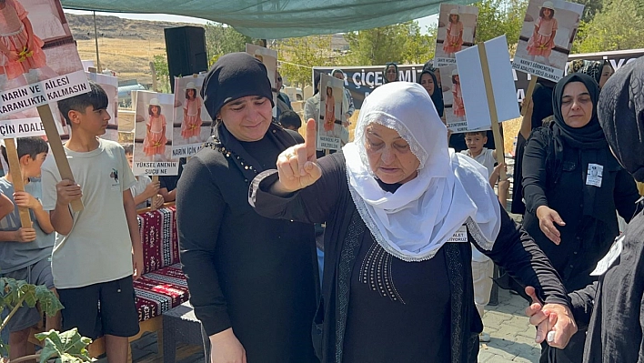 Narin'in mezarı başında Kürtçe ağıt: 'Hem canımızı aldılar hem evimizi başımıza yıktılar'