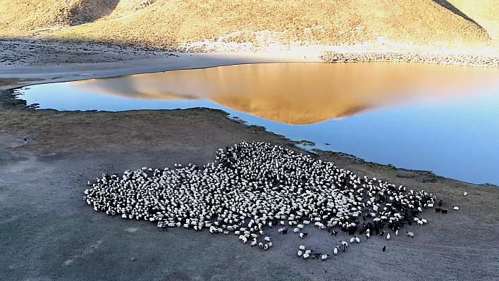 Nemrut Kalderası'nda Sürülerden Kartpostallık Su Yolculuğu