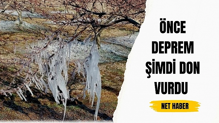 Önce deprem şimdi don vurdu