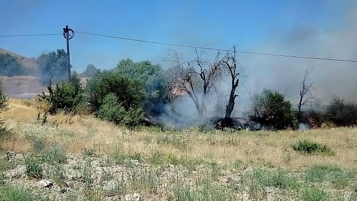 Onlarca dönümlük alan kül oldu