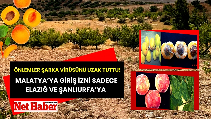 Önlemler şarka virüsünü uzak tuttu! Malatya'ya giriş izni sadece Elazığ ve Şanlıurfa'ya