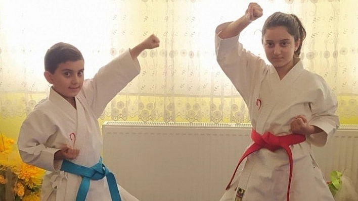 Online Karate Şampiyonası