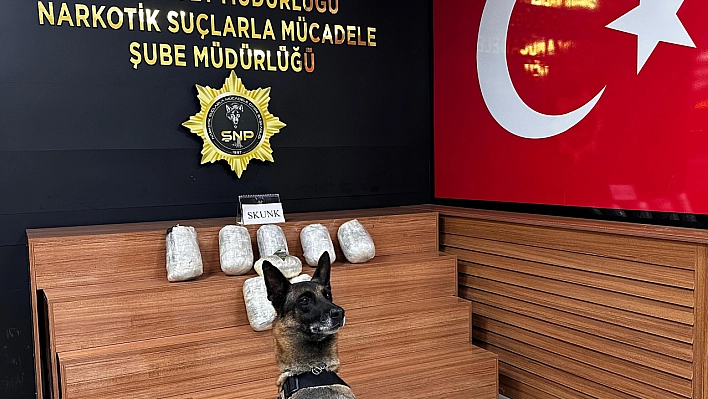 Operasyonda 9 kilo skunk ele geçirildi