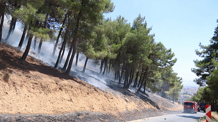 Orman yangınında bir kişi gözaltına alındı