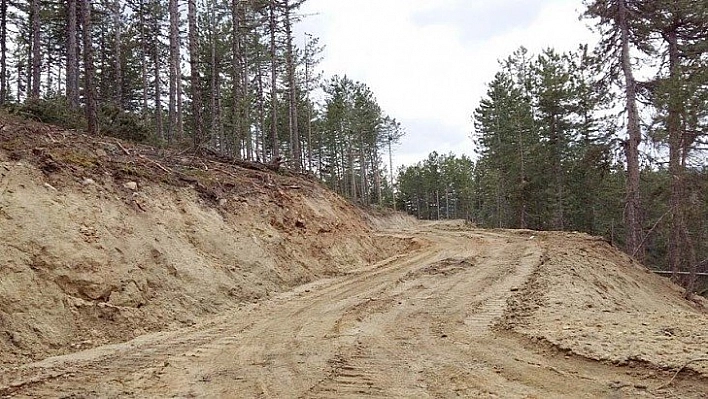 Orman yolu yaptırılacak