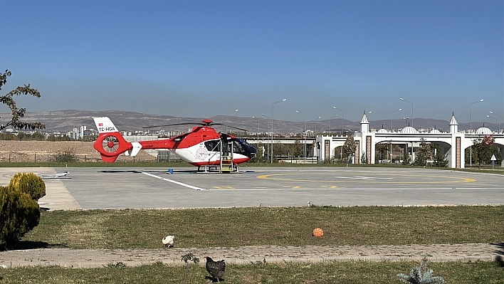 Ormanda ayı saldırısına uğradı, tedavi altına alındı