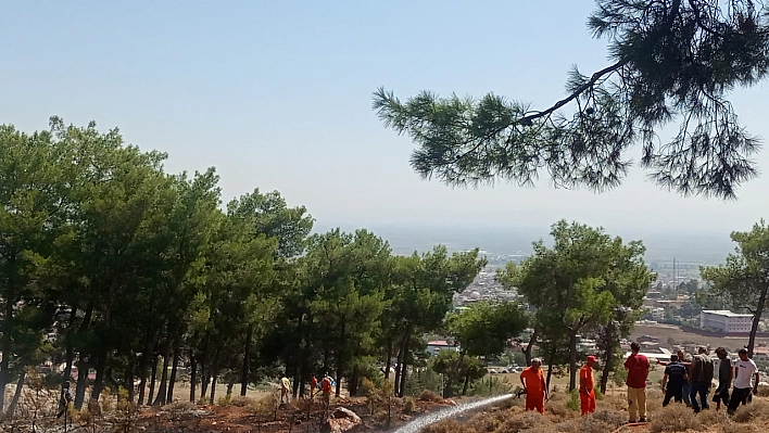 Ormanlık alandaki örtü yangını söndürüldü