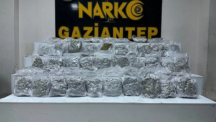 Otomobilde 24 kilo skunk ele geçirildi