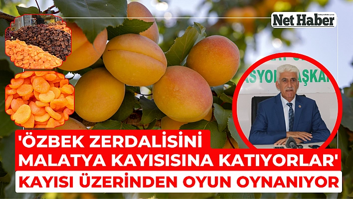 'Özbek zerdalisini Malatya kayısısına katıyorlar' Kayısı üzerinden oyun oynanıyor