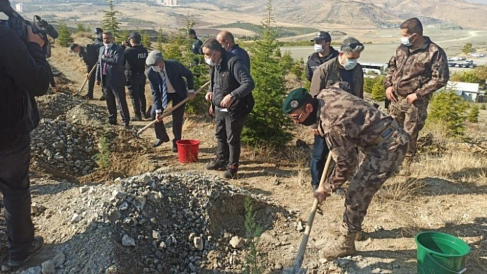 Özel Harekatta fidan çalışması