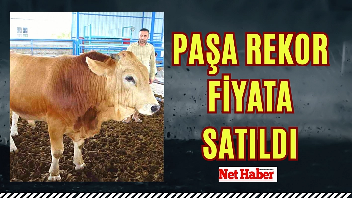 Paşa rekor fiyata satıldı