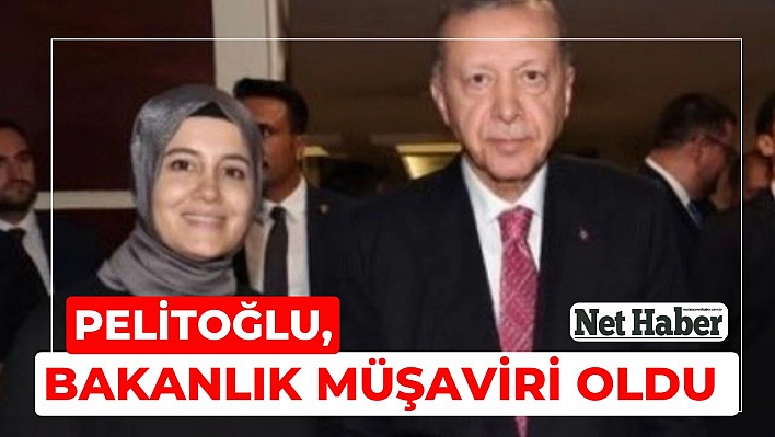 Pelitoğlu, bakanlık müşaviri oldu