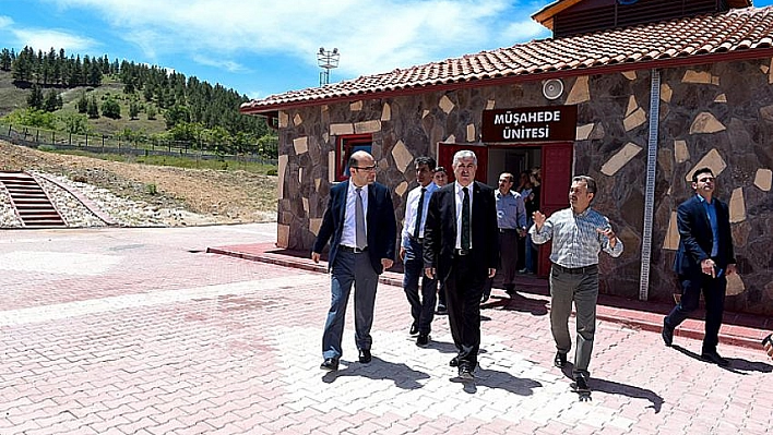 Modern bir barınak