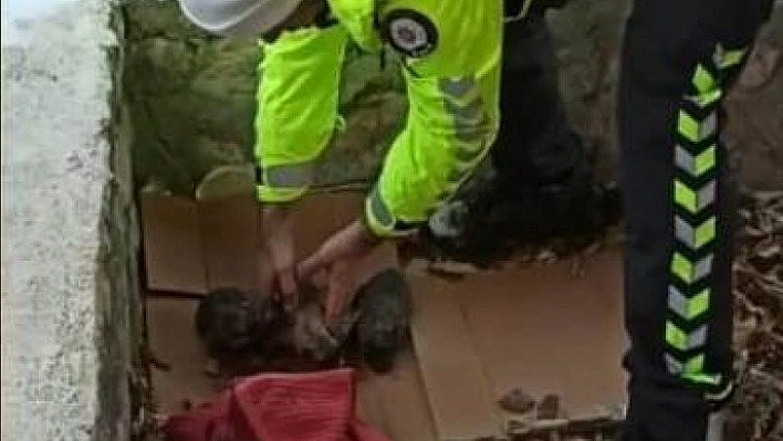 Polisten şefkat eli