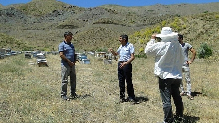 Gezginci arıcılar yaylalara kuruldu