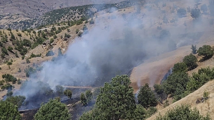 Malatya'da orman yangını kontrol altına alındı