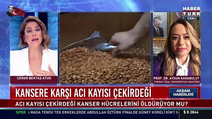 Kayısı çekirdeğinin kansere etkisi