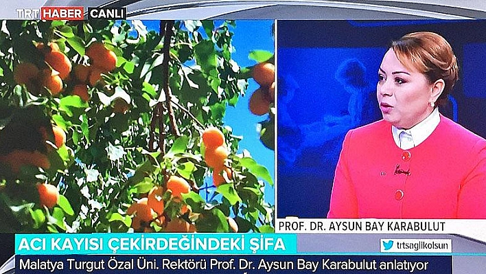 Acı kayısı çekirdeğindeki şifa