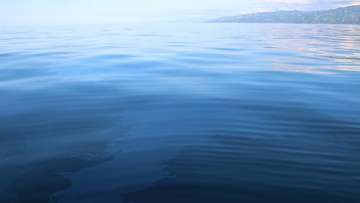 Rize'de Petrol Kaynağı Mı Bulundu?