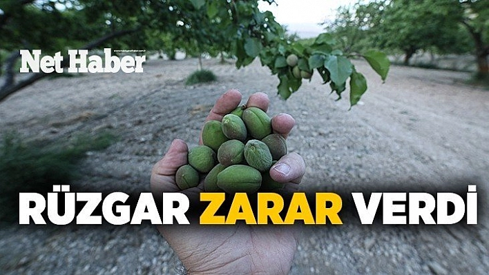 Rüzgar zarar verdi