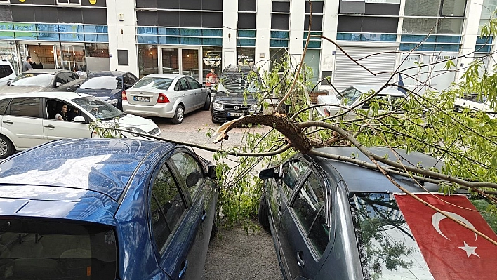 Rüzgarda kırılan ağaç dalı otomobillerin üzerine düştü