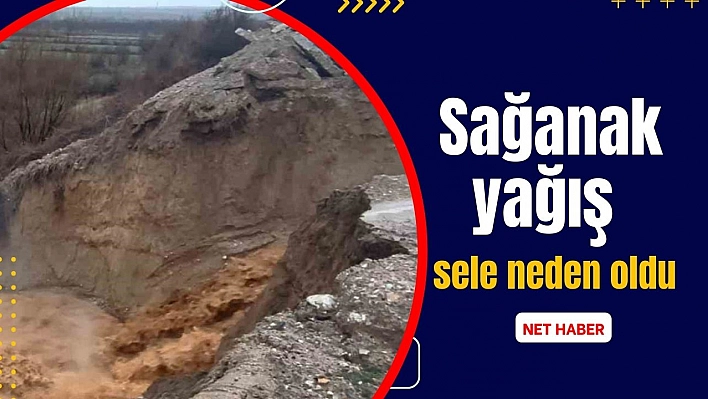 Sağanak yağış sele neden oldu