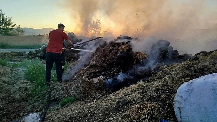 Samanlık yangını büyümeden söndürüldü