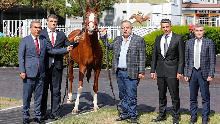 Şampiyonun yavruları rekor fiyatla satıldı