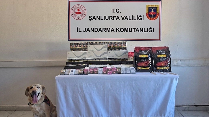 Şanlıurfa'da gümrük kaçağı malzemeler ele geçirildi