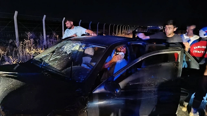 Şanlıurfa'da otomobiller kafa kafaya çarpıştı: 3 yaralı