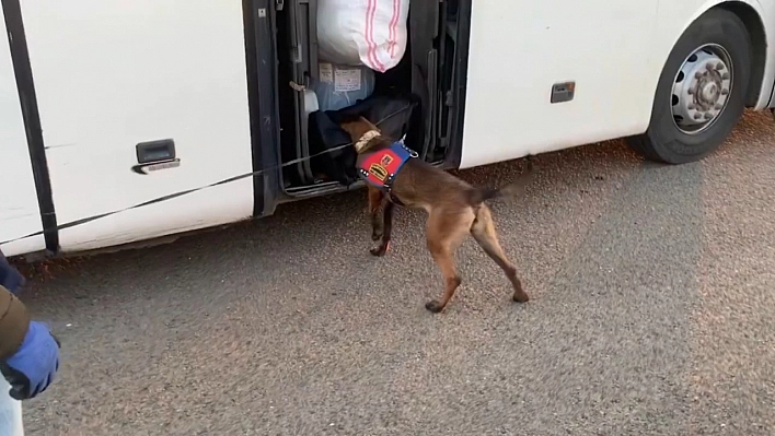 Şanlıurfa'da yolcu otobüsünde uyuşturucu ele geçirildi