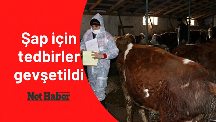 Şap için tedbirler gevşetildi