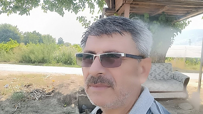 Ağaçkondusu ilgi çekmeye devam ediyor