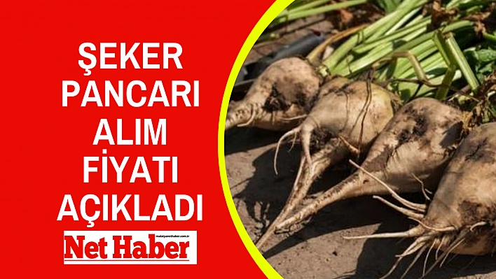 Şeker pancarı alım fiyatı açıkladı