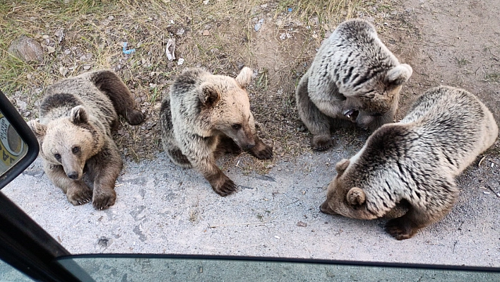 Şeker vermek isteyen vatandaşa saldırdı