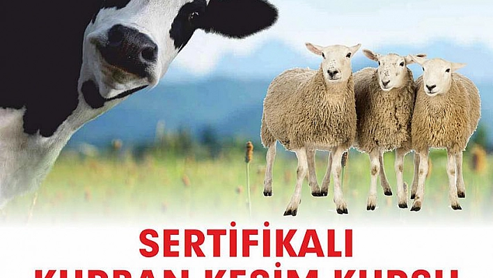 Sertifika verilecek 