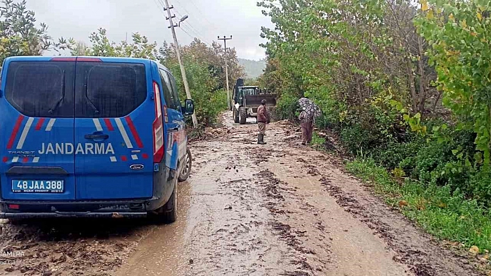 Muğla'da dere taştı, hayvanlar mahsur kaldı