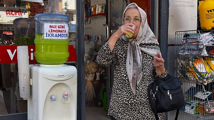 Sıcak havada serinleten ikram