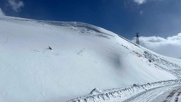 Siirt'te kar yağışı nedeniyle kapanan tüm yollar açıldı