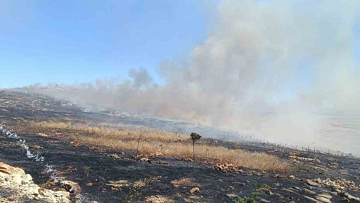 Silvan'da örtü yangını