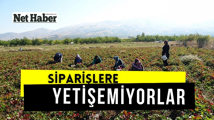 Siparişlere yetişemiyorlar