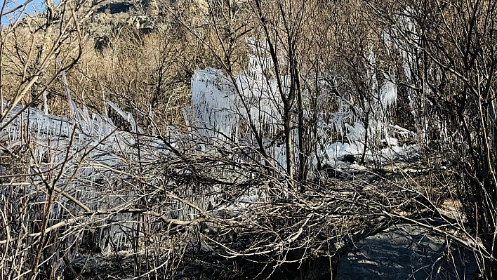 Şırnak'ta ağaçlarda buz sarkıtları oluştu