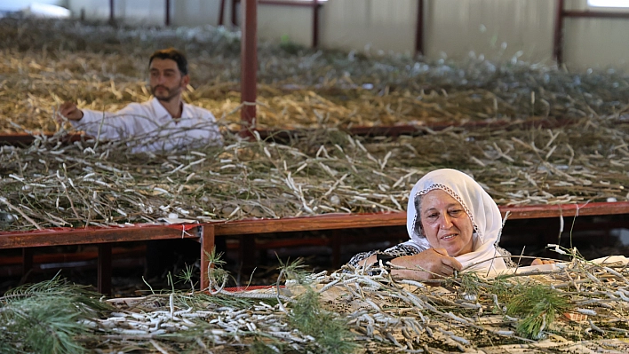 Sırrı Babaannesinden Aldı, Hayalini Gerçekleştirdi!