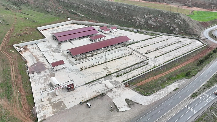 Sivas'ta kurban pazarının yeri değişti