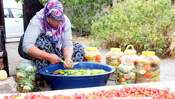 Sofraların vazgeçilmezi turşu için mesai başladı