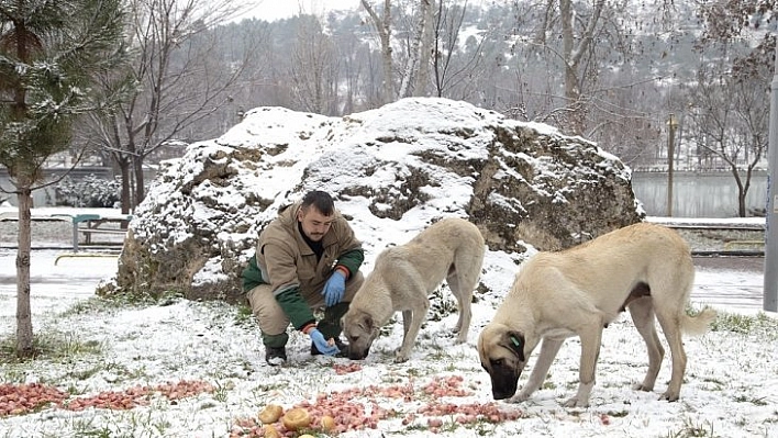 Doğaya yiyecek bırakıldı